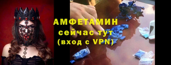 хмурый Бикин