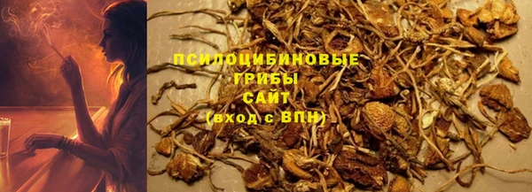 соль ск Богданович