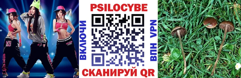 blacksprut маркетплейс  Велиж  Галлюциногенные грибы Psilocybe  закладки 
